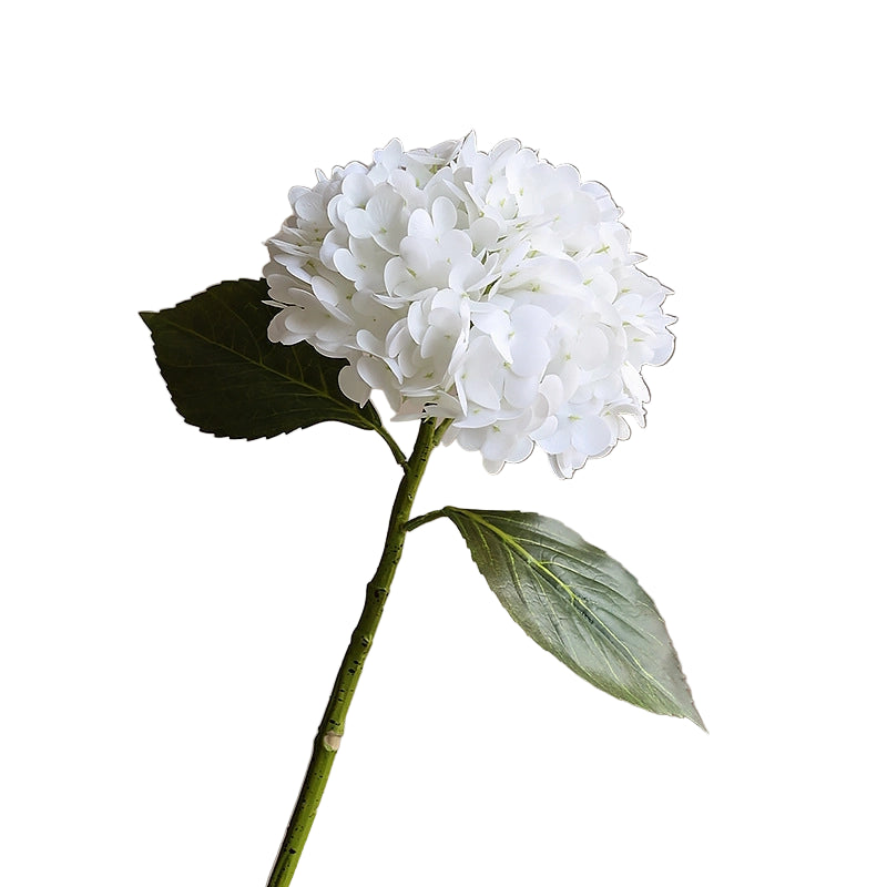 Tall White Hydrangea