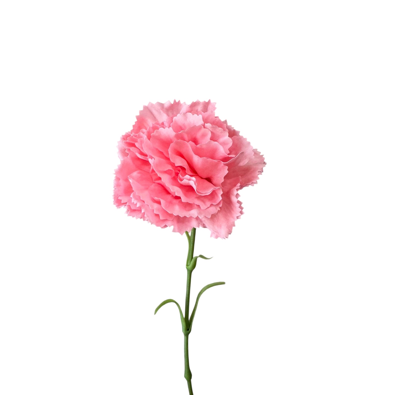 19.5 in Pink Carnation