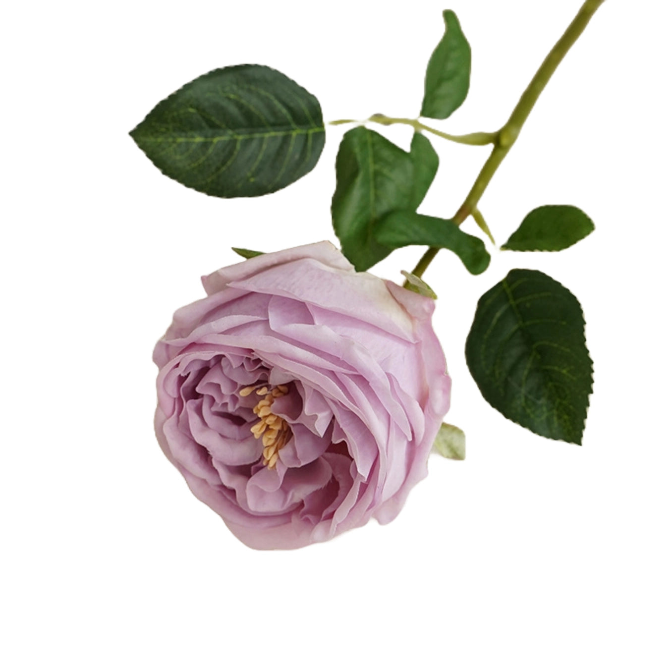 17in Mauve Lavender Cabbage Rose