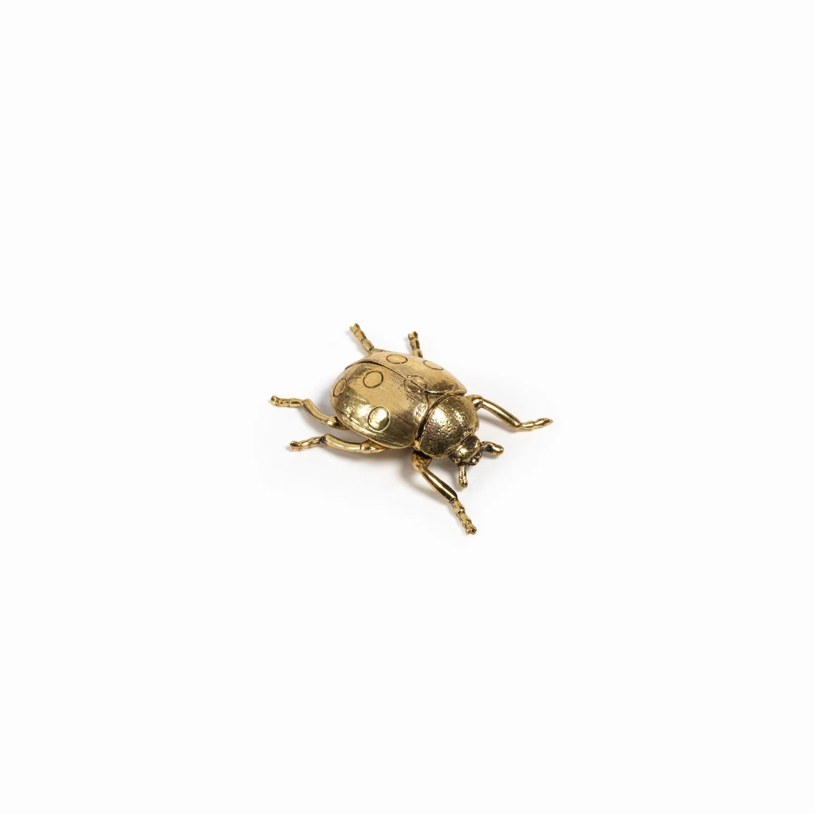 Gold Decorative Ladybug