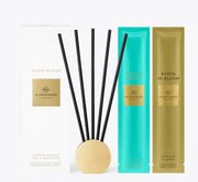 Scent Scene Holder