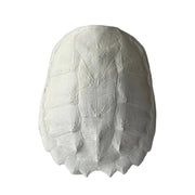 Snapping Turtle Shell