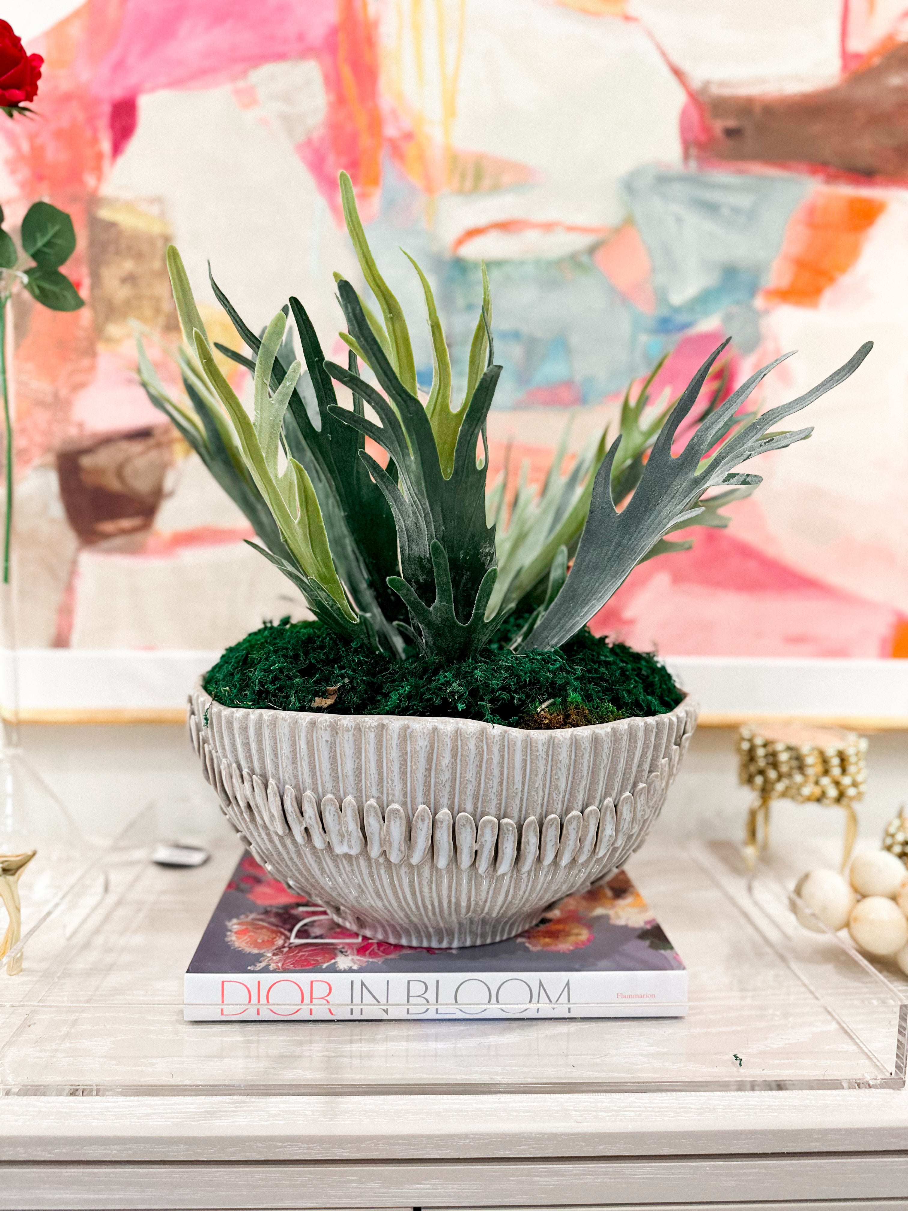 Large Staghorn Fern Pick