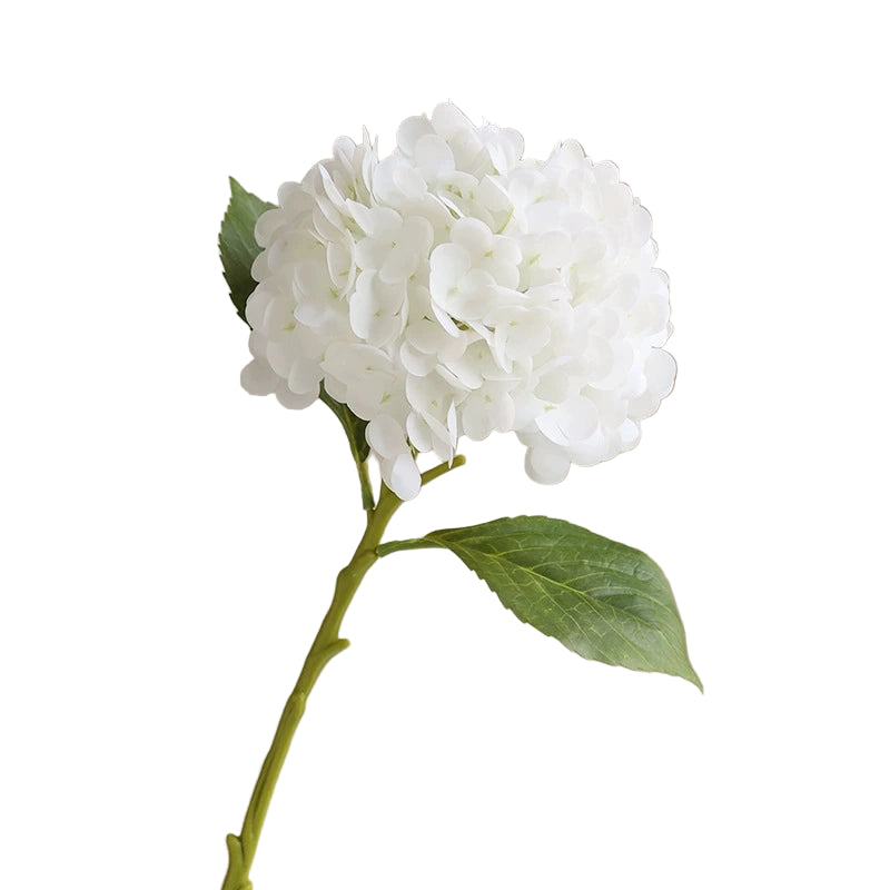 Short White Hydrangea