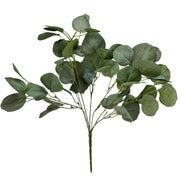 22in Eucalyptus